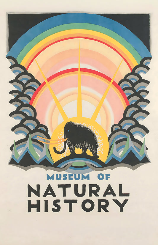 Museum of Natural History poster, rainbow elephant art, natural history art print, 11x17 decor