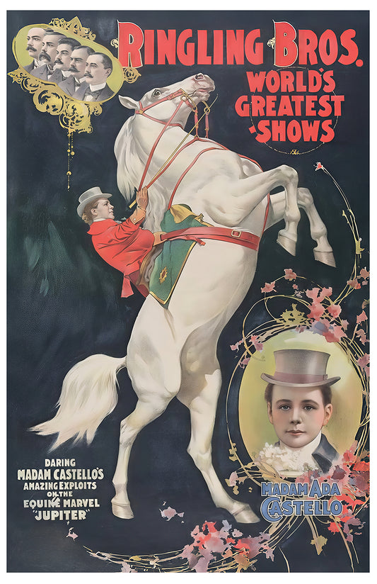 Vintage circus horse poster print, Ringling Bros art, equestrian carnival wall decor, 11x17