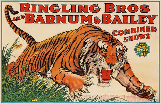 Vintage circus tiger poster print, Ringling Barnum style art, bold carnival wall decor, 17x11
