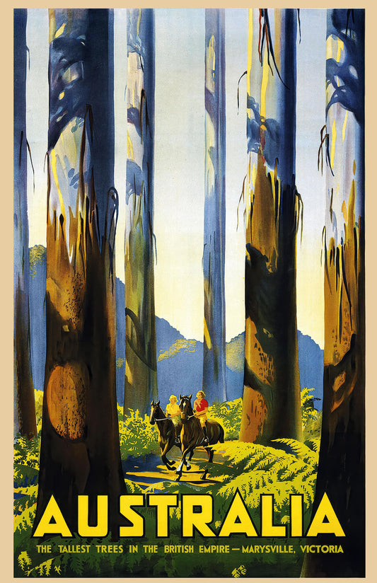 Australia Tallest Trees Vintage Travel Poster – Marysville Victoria Forest Art Print, Classic Australian Nature Wall Art