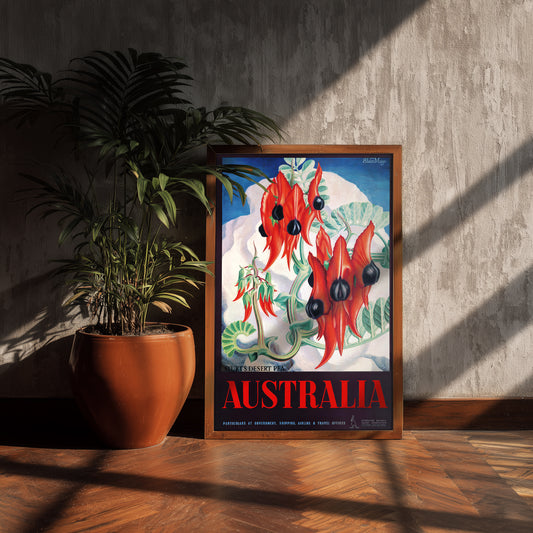 Australia desert pea poster print, Sturt’s Desert Pea art, vintage floral wall decor
