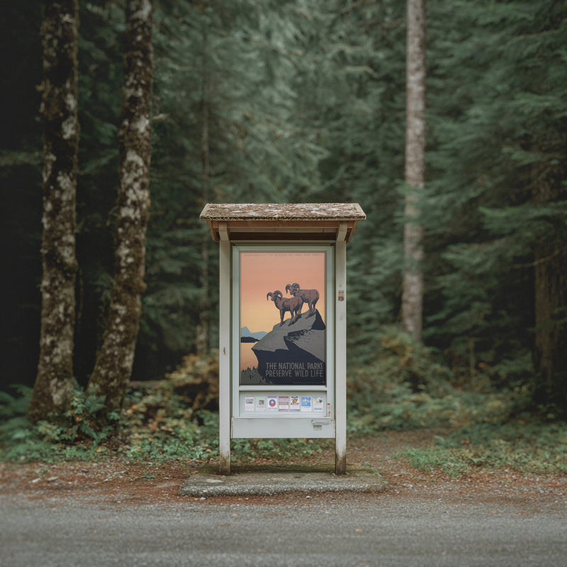 The National Parks Preserve Wildlife – WPA Conservation Poster